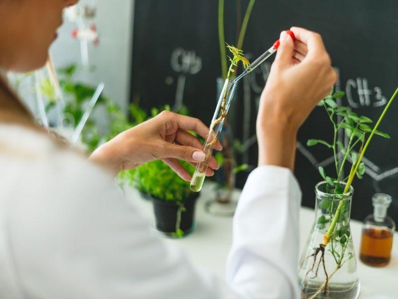 Image showing researcher studying plants
