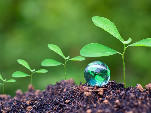 A tiny glass globe sits next to green shoots