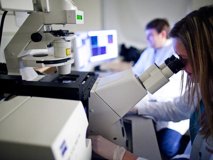 Medical students in a laboratory