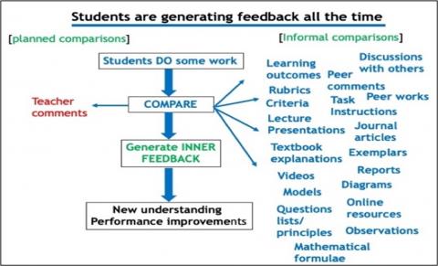 Sources of student feedback and comparison for learning