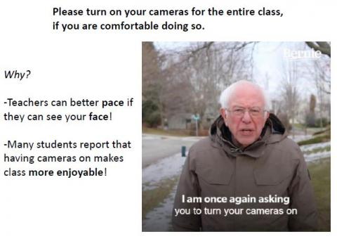 Bernie Sanders says keep your zoom cameras on