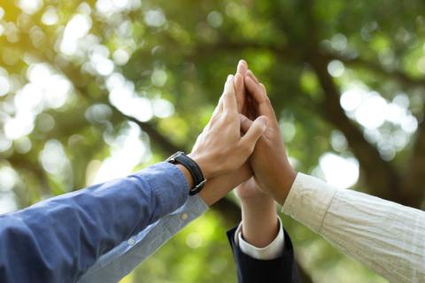 Hands high-five in front of a leafy tree