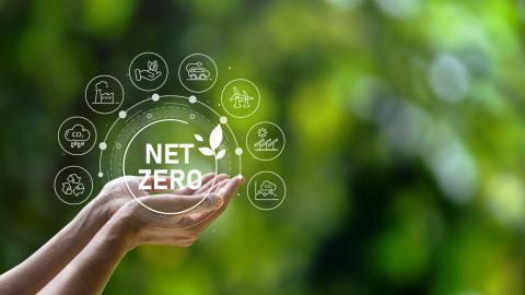 Hands holding the words "net Zero" against a blurred out verdant background