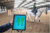 Saddle pressure mat used to teach horse riding