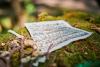 Sheet music lying on moss