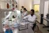 Black and Asian researchers working in a lab